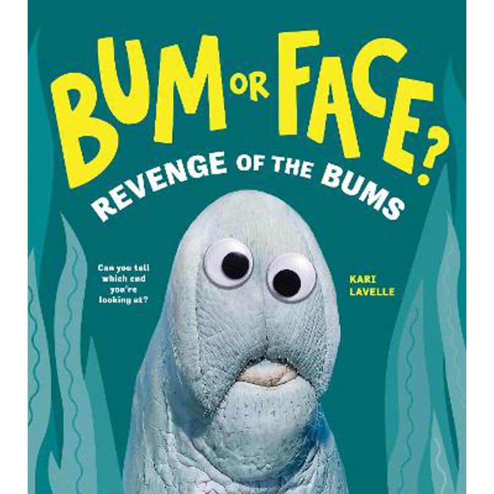 Bum or Face? Volume 2: Revenge of the Bums (Paperback) - Kari Lavelle